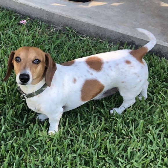 Meet your Posher, Gabe - Picture 1 of 1